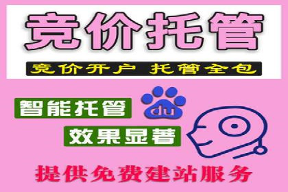 某知名企业SEM外包项目的成功经验分享